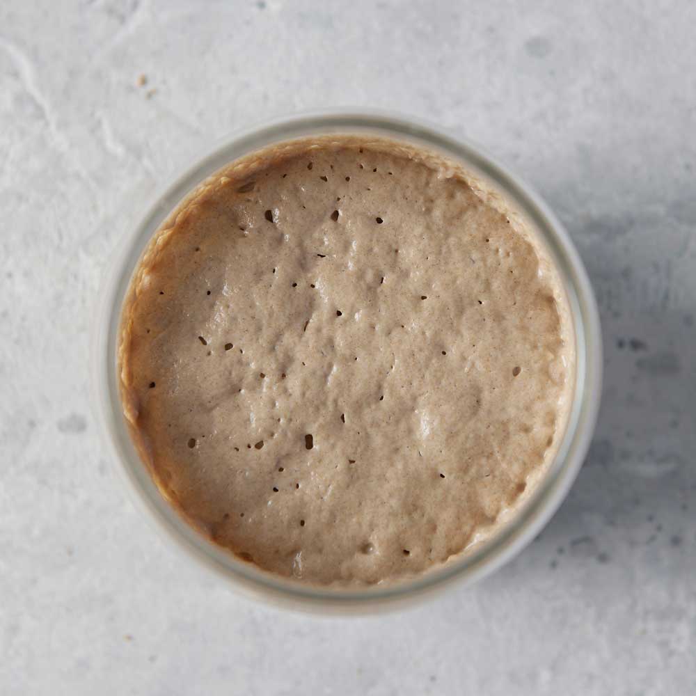 Sauerteigstarter